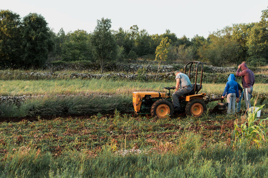 Compact Food Plot Access Planning for ATVs: Gates, Widths, Pass Patterns