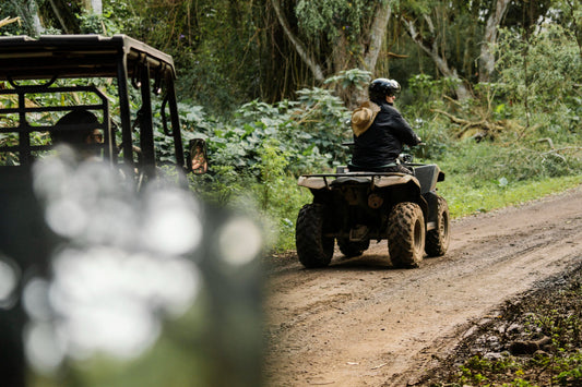ATV Landscape 