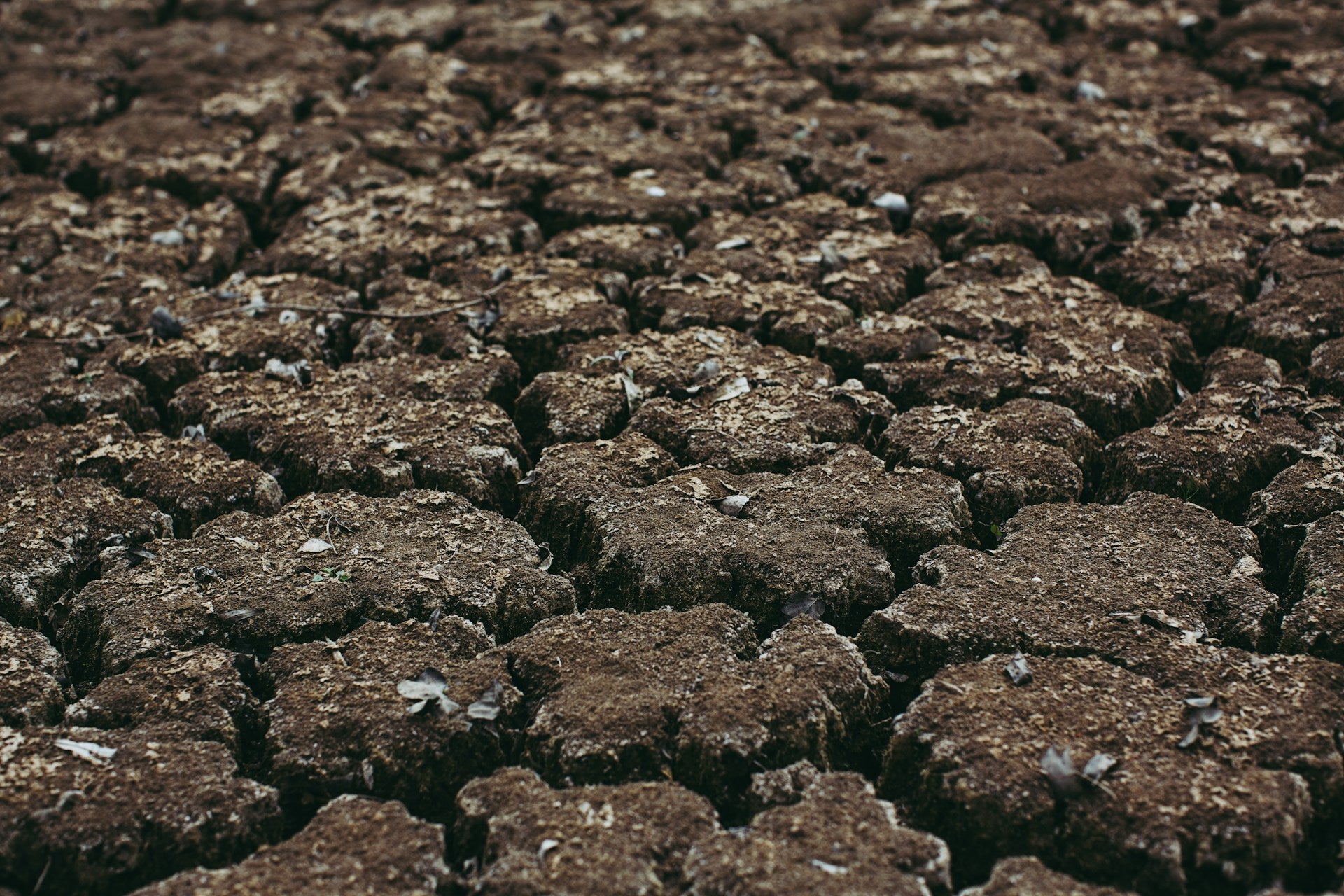 Tips for Dealing With Soil Compaction During Winter Drizzle – LinkEZE