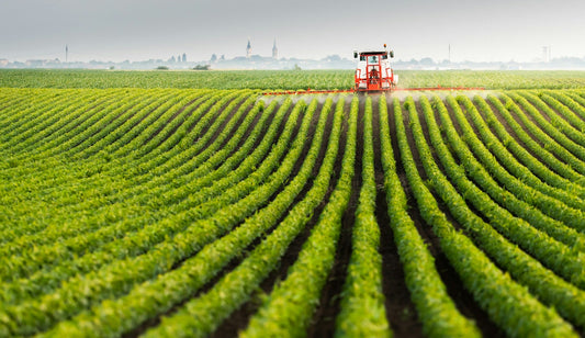 farmland